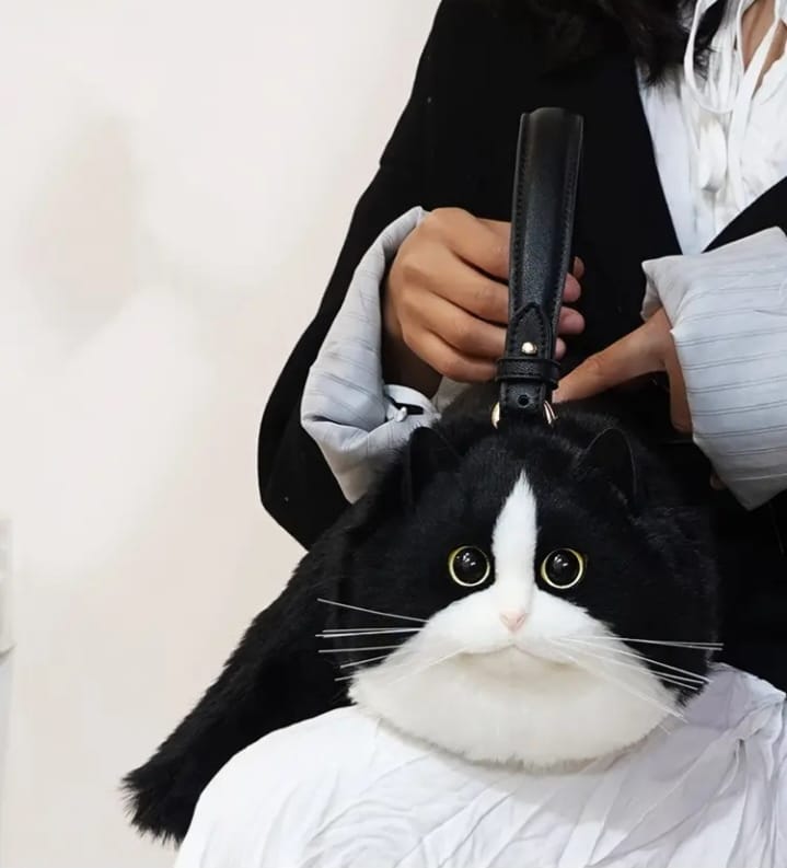 CatGlup
