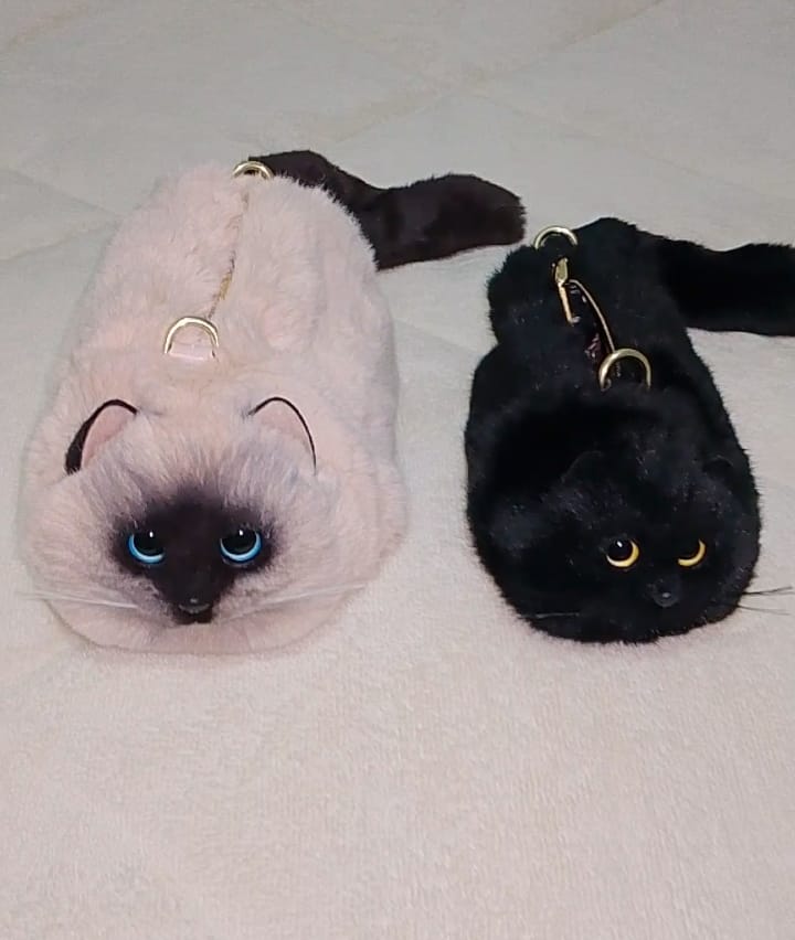 CatGlup