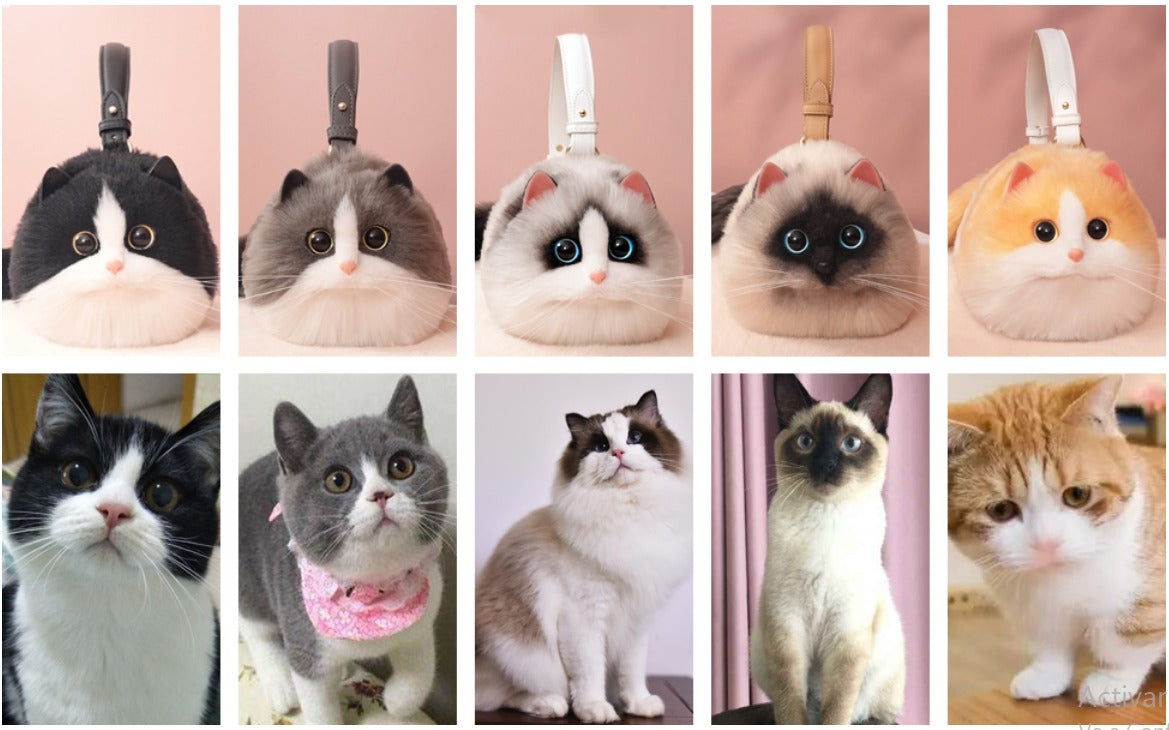 CatGlup
