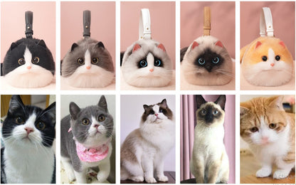 CatGlup